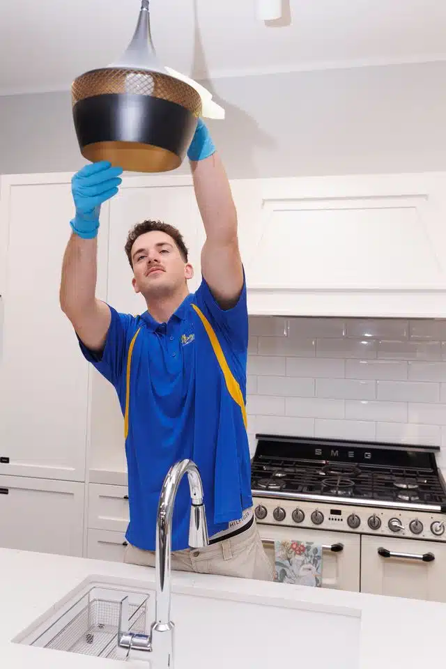 Move In or Move Out Clean