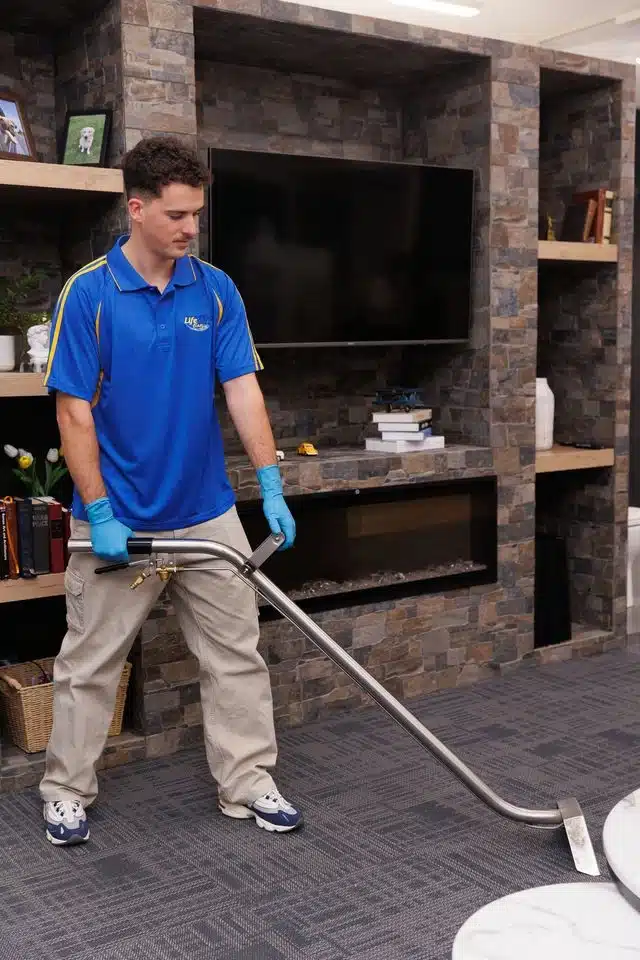 Carpet and Upholstery Steam Cleaning